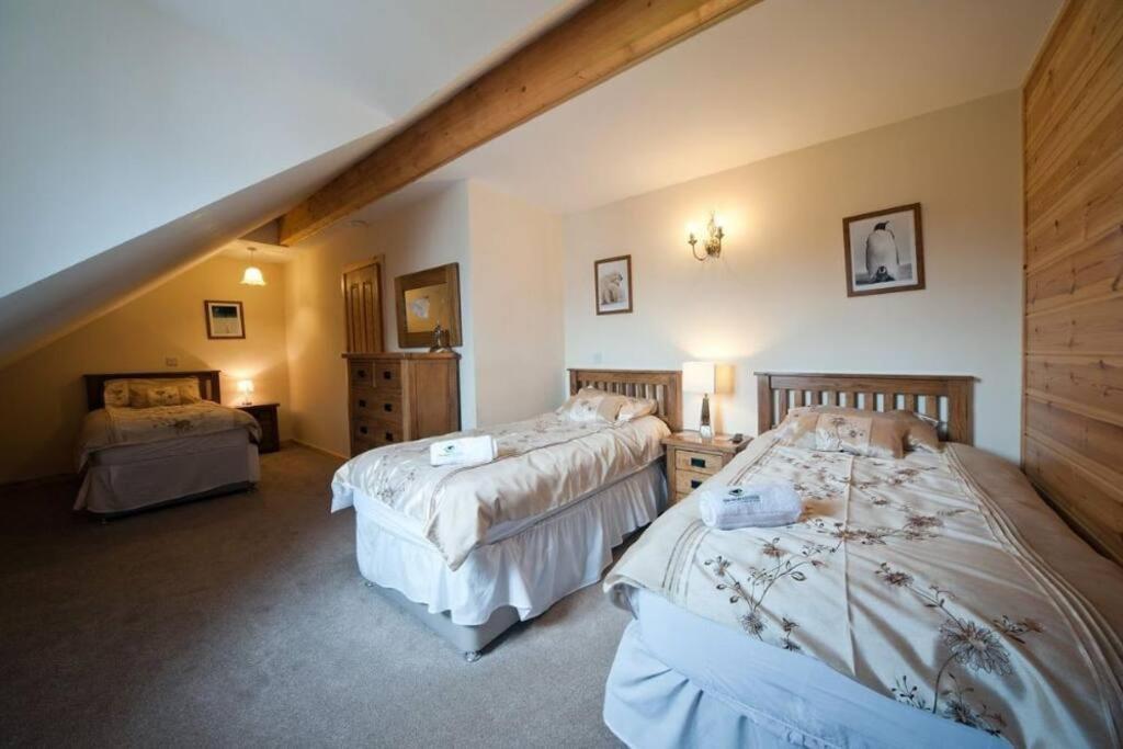 Beech Tree Eco Lodge Brecon Buitenkant foto